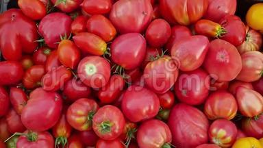 美味的红色西红柿。 一堆西红柿。 夏季托盘市场农业农场充满有机西红柿。 新鲜番茄